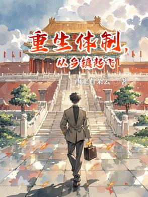 重生体制，从乡镇起飞