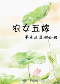 农女五嫁