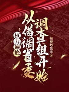 权力巅峰：重生后我选择京圈老婆