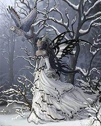 四合院：重生傻柱奖励超强体魄